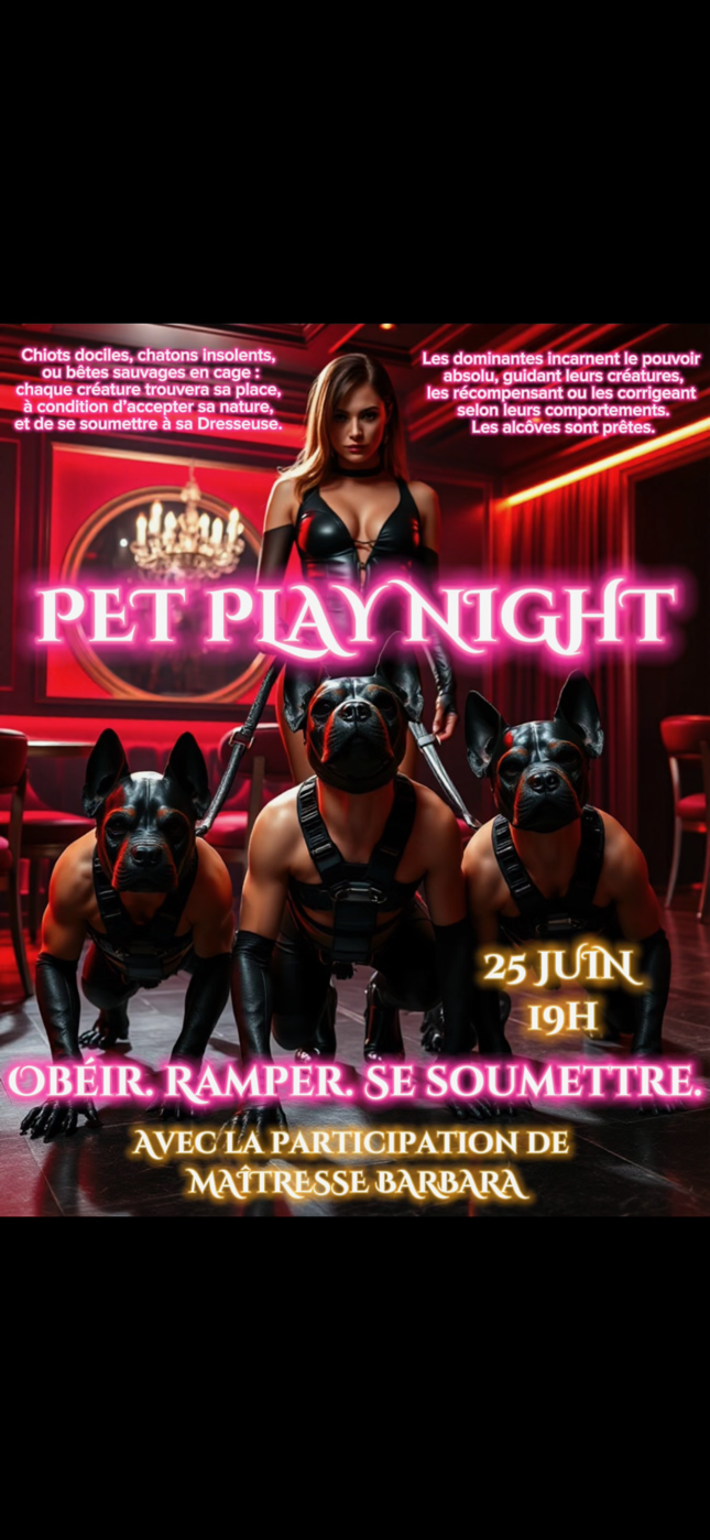 Flyer